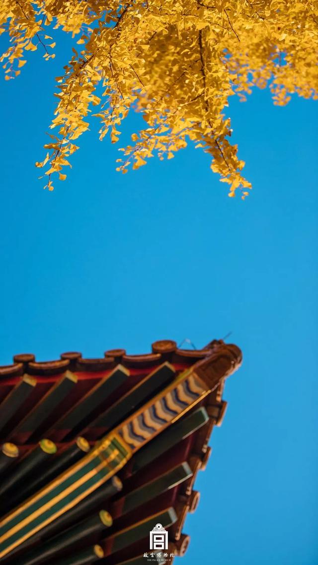 [掌上兰州]在博物馆感受四季变幻，美爆了