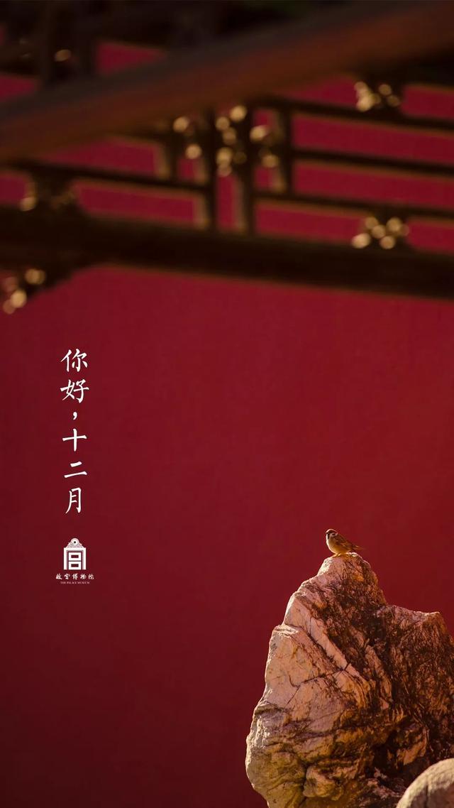 [掌上兰州]在博物馆感受四季变幻，美爆了