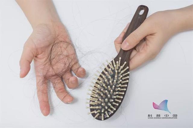 科普中国■白头发“拔一根长十根”到底是真是假？疑惑多年的事终于有答案了