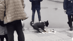【视觉志】你真幸运，可以和最爱的人在一起