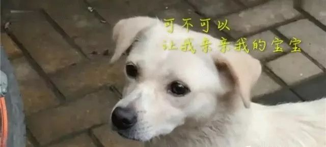【视觉志】你真幸运，可以和最爱的人在一起