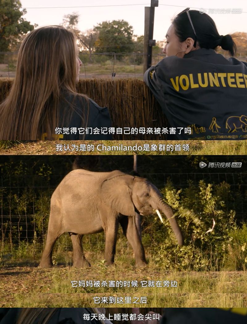 【视觉志】你真幸运，可以和最爱的人在一起