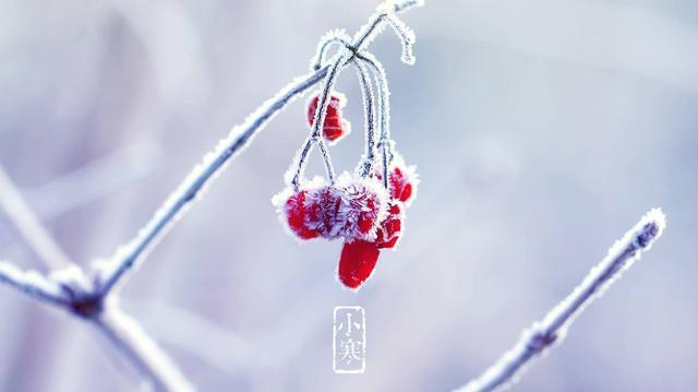【映象网】客官！你点的小寒来了