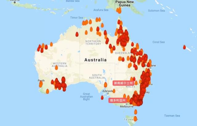 火炎焱燚澳大利亚森林火灾面积已达600万公顷
