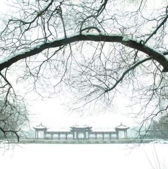 「环球时报」2020年的第一场雪，来了！