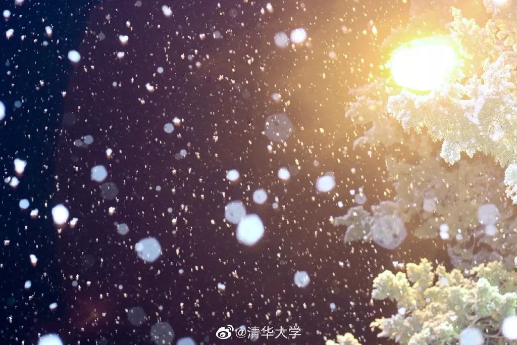 「环球时报」2020年的第一场雪，来了！