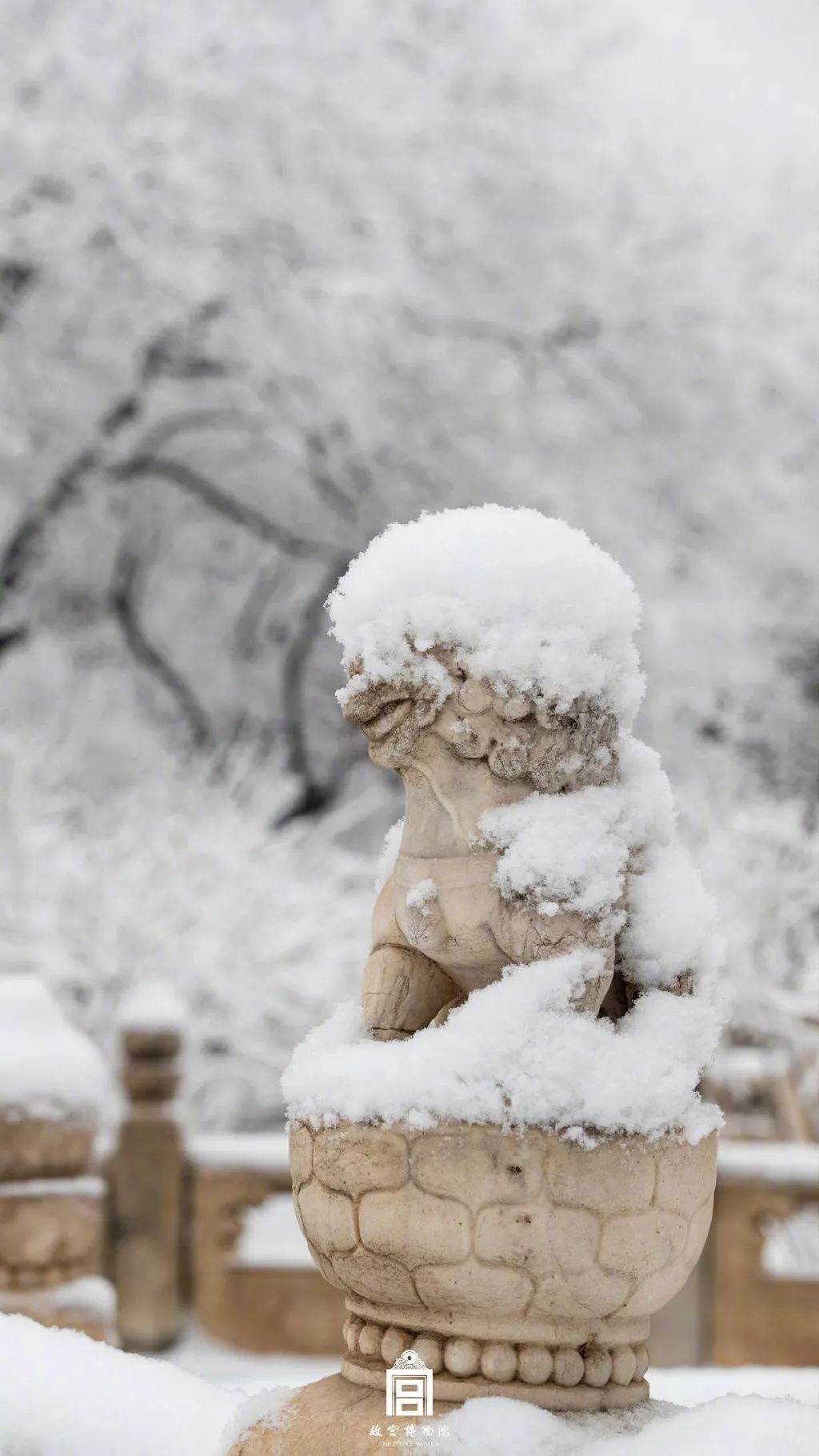 「环球时报」2020年的第一场雪，来了！
