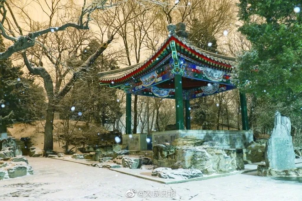 「环球时报」2020年的第一场雪，来了！