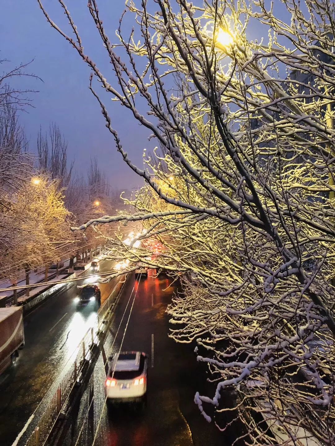 「环球时报」2020年的第一场雪，来了！