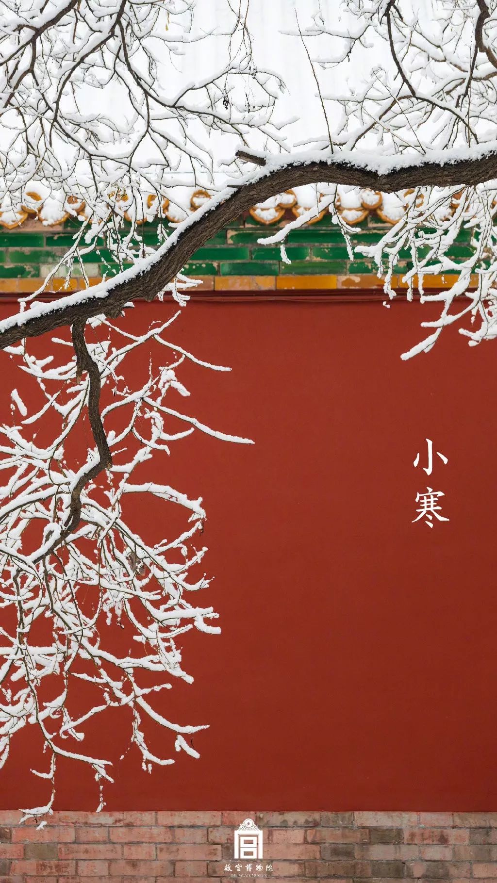 「环球时报」2020年的第一场雪，来了！