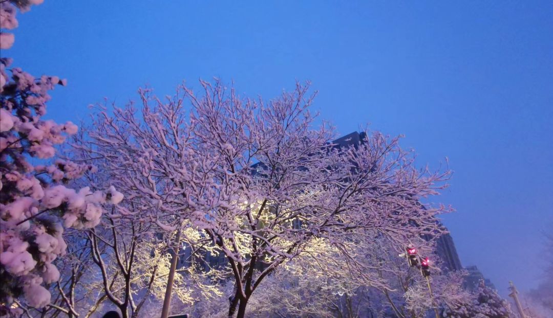 「环球时报」2020年的第一场雪，来了！