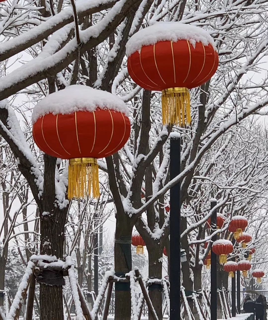 「环球时报」2020年的第一场雪，来了！