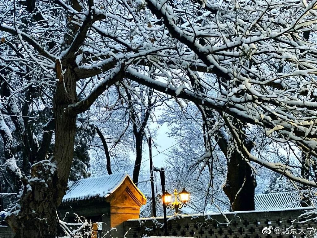 「环球时报」2020年的第一场雪，来了！