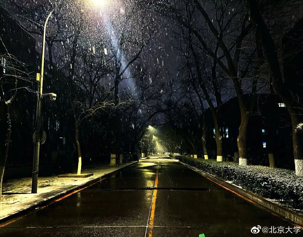 「环球时报」2020年的第一场雪，来了！