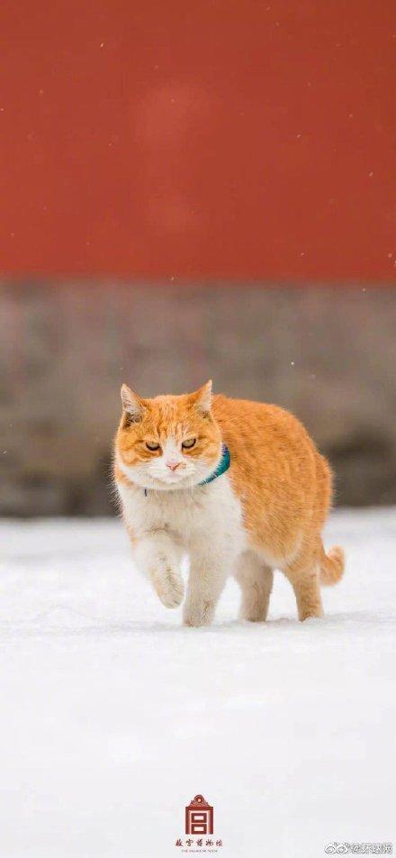 「生活报」为啥总在故宫闭馆前夜下雪？北京气象部门：纯属巧合