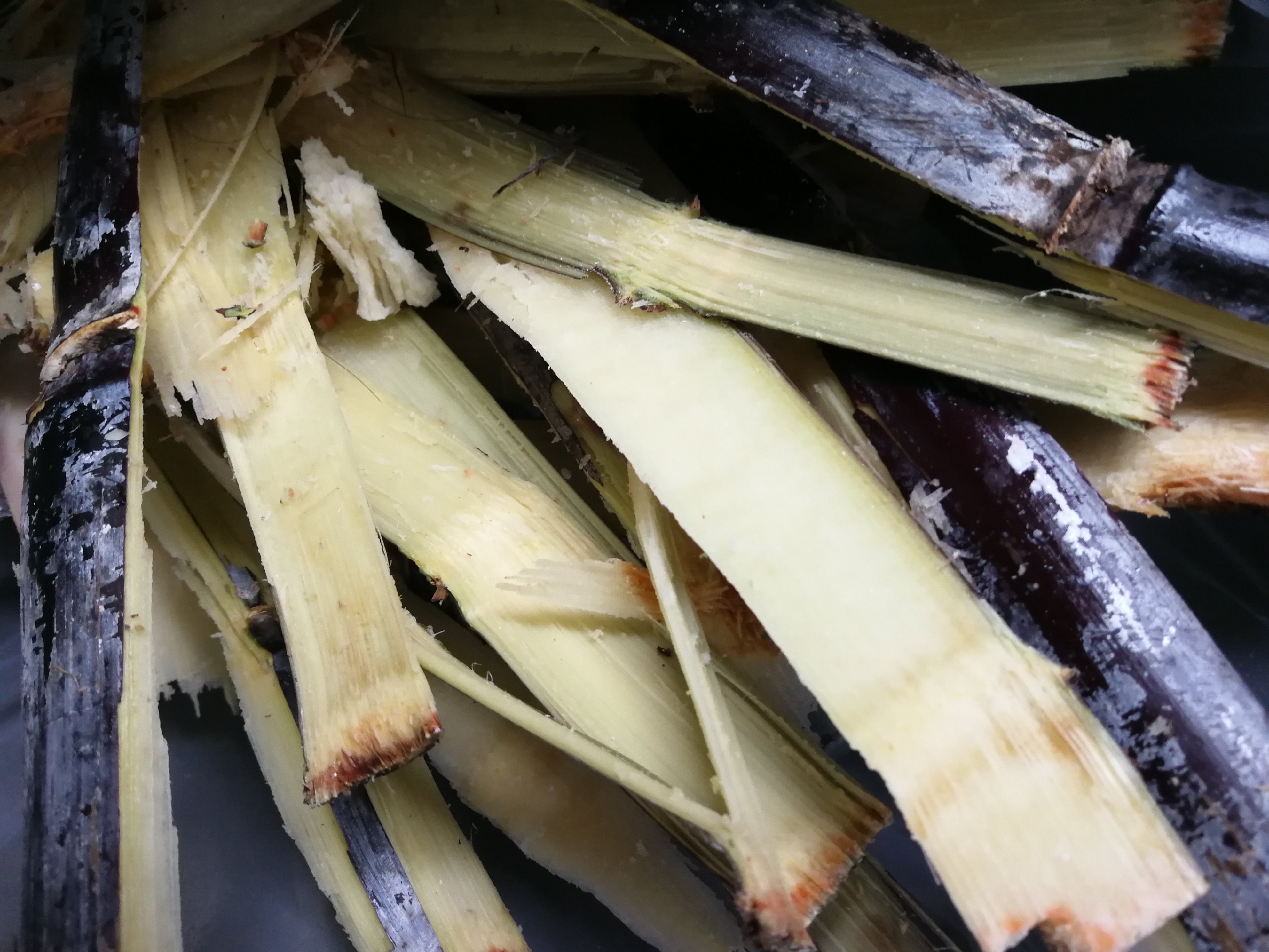 薰制腌肉的甘蔗皮