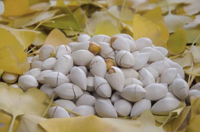 科普中国@快过年了，请不要喂我的孩子吃这些！一口都不行