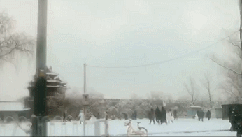 「中国教育报」北京一下雪，故宫就上热搜！关于600岁的故宫，这些故事值得讲给孩子听｜特别关注