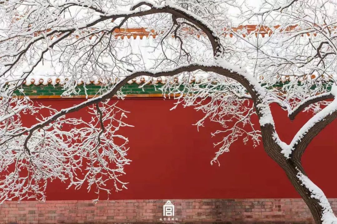「中国教育报」北京一下雪，故宫就上热搜！关于600岁的故宫，这些故事值得讲给孩子听｜特别关注