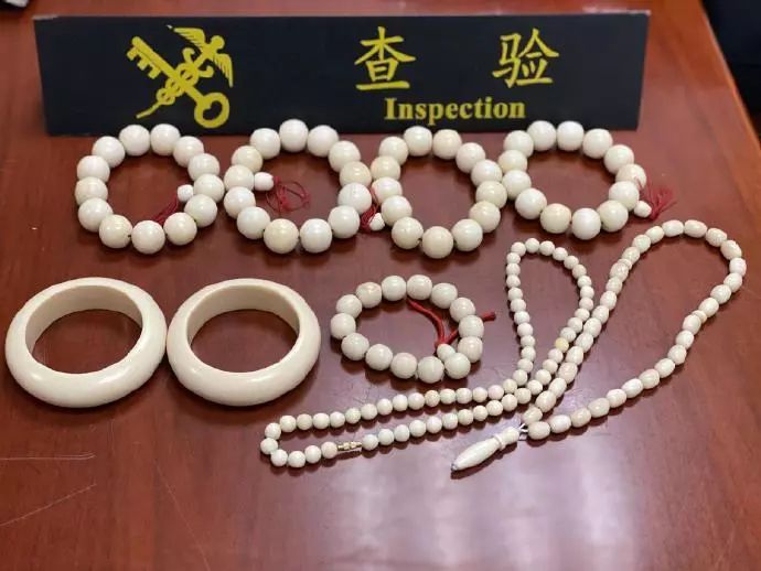 「海关发布」包里藏着象牙，你以为能过关？！