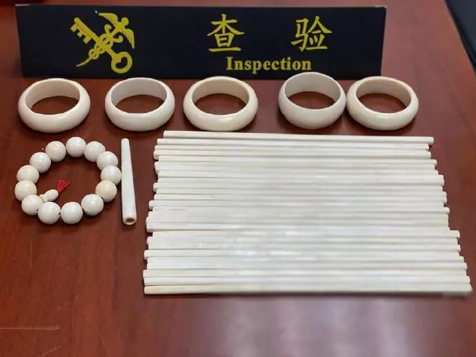 「海关发布」包里藏着象牙，你以为能过关？！