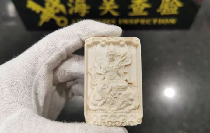 「海关发布」包里藏着象牙，你以为能过关？！