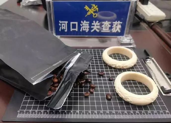 「海关发布」包里藏着象牙，你以为能过关？！
