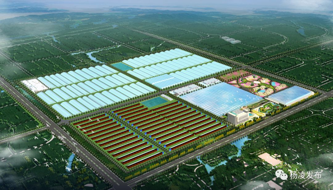 重磅发布!杨凌示范区2019年度全面深化改革十大新闻揭晓_人民号