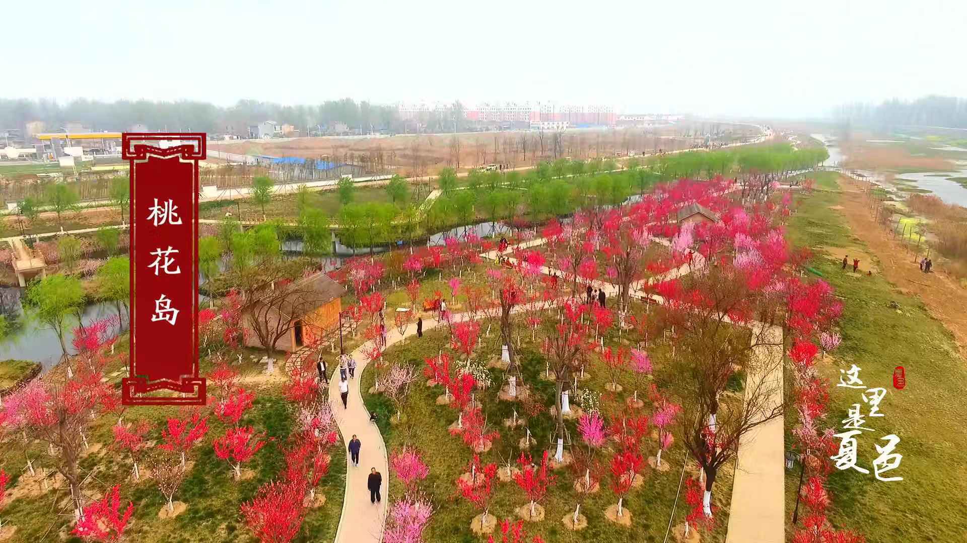 这里是夏邑—美丽的小城风光旖旎!