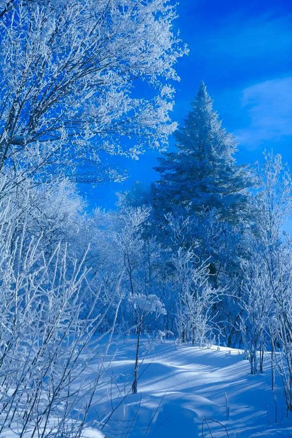 冬天最美的风景图片图片