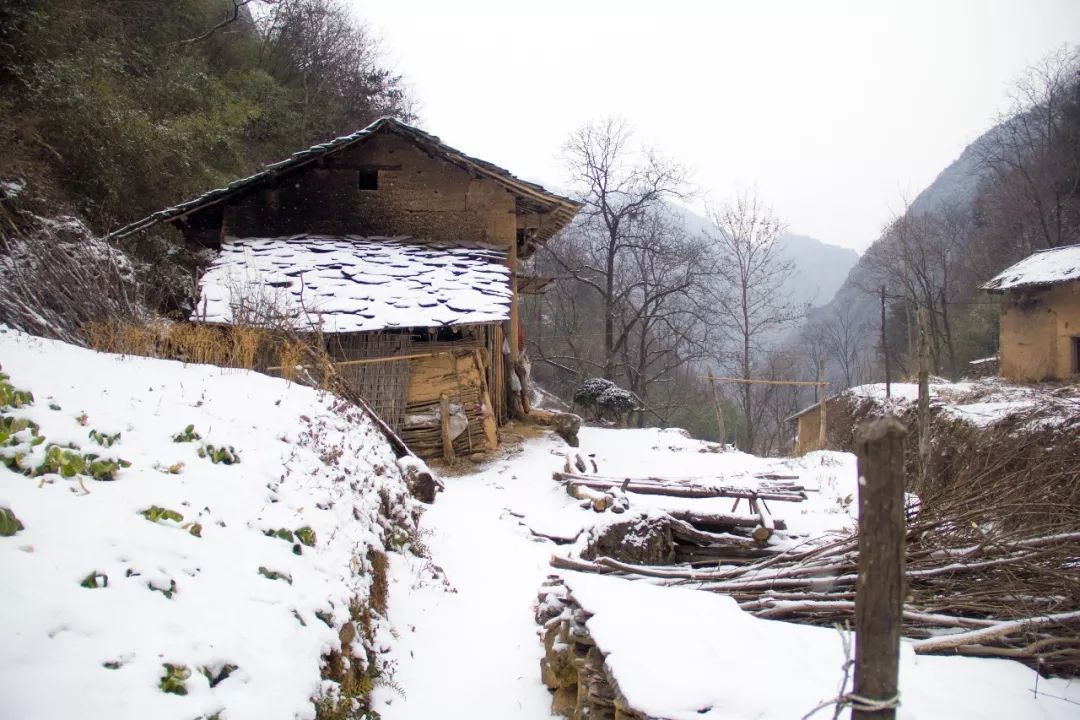 秦嶺人文故事雲橫秦嶺家何在雪擁藍關馬不前尋訪老茅屋