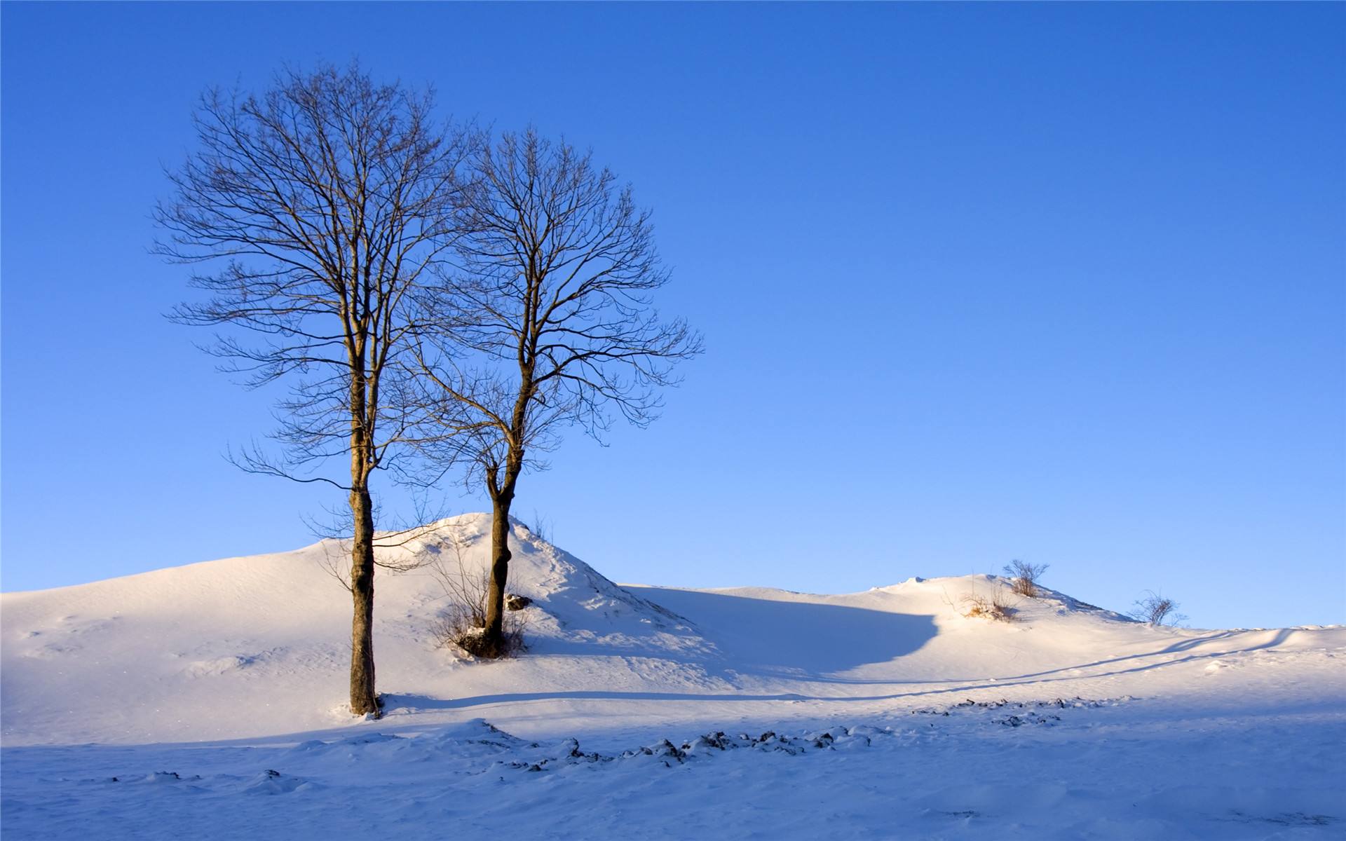 与冬天最配的一首唐诗白居易的这首咏雪小诗百读不厌温暖千年