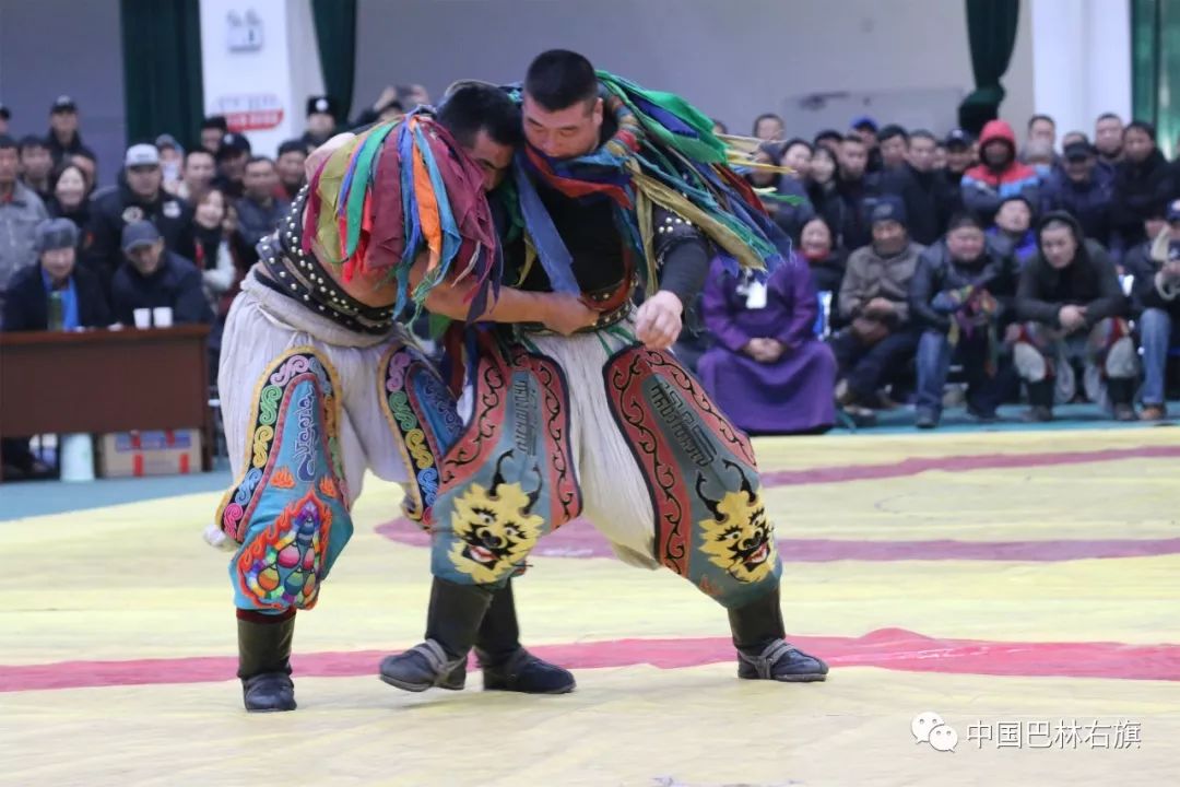 聚焦巴林右旗第七届格斯尔杯搏克比赛圆满落幕