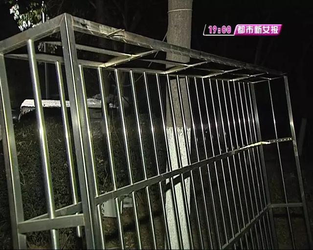 「生活报」过年大扫除夺命！男子擦窗时和防盗窗一起坠落，人没了