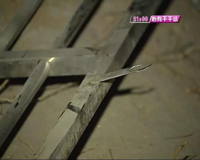 「生活报」过年大扫除夺命！男子擦窗时和防盗窗一起坠落，人没了