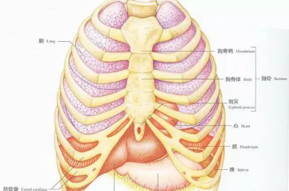 求实瑜伽