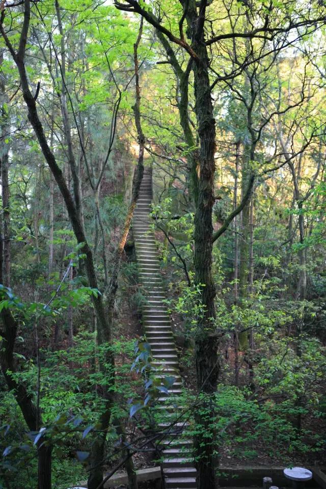 成都出发有着川北小峨眉之称的金城山有这四样奇观