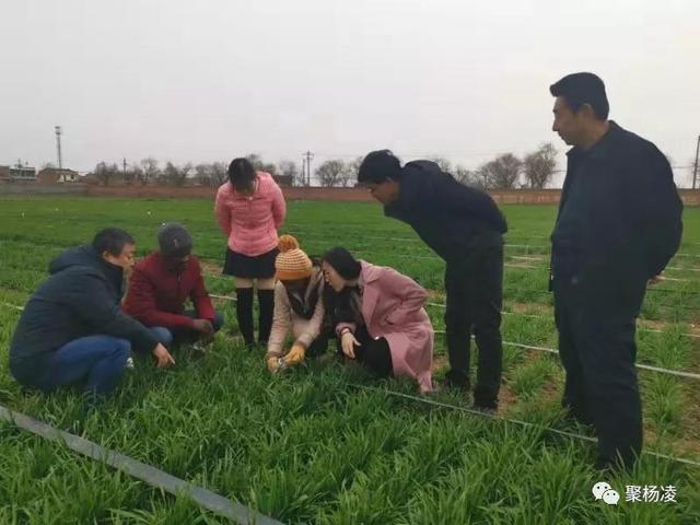 「农业科技报」封面人物｜“草帽教授”海江波：用杨凌科技在非洲播种“消贫”希望