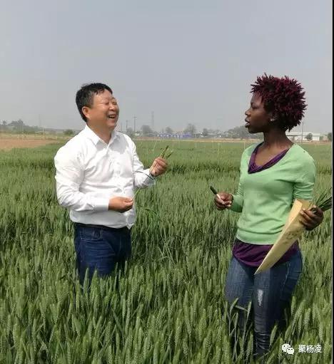 「农业科技报」封面人物｜“草帽教授”海江波：用杨凌科技在非洲播种“消贫”希望