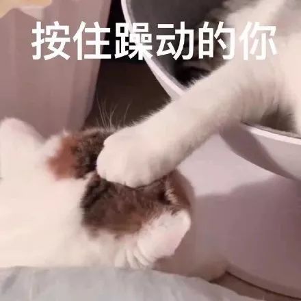 手机江西台@“你的2019微信年度报告，请查收。”
