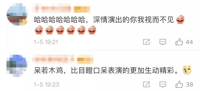 荆楚网：一秒变表情包！浣熊闯入宅院被抓现行