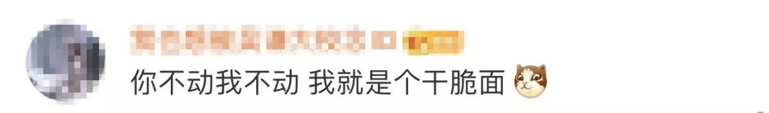 荆楚网：一秒变表情包！浣熊闯入宅院被抓现行