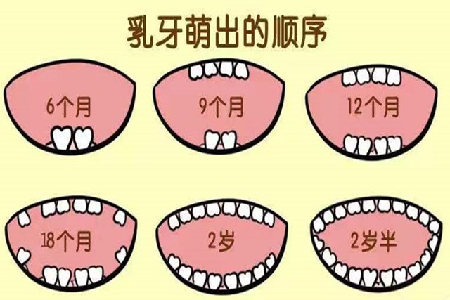 别不在意孩子的乳牙关注牙齿健康从第一颗乳牙开始