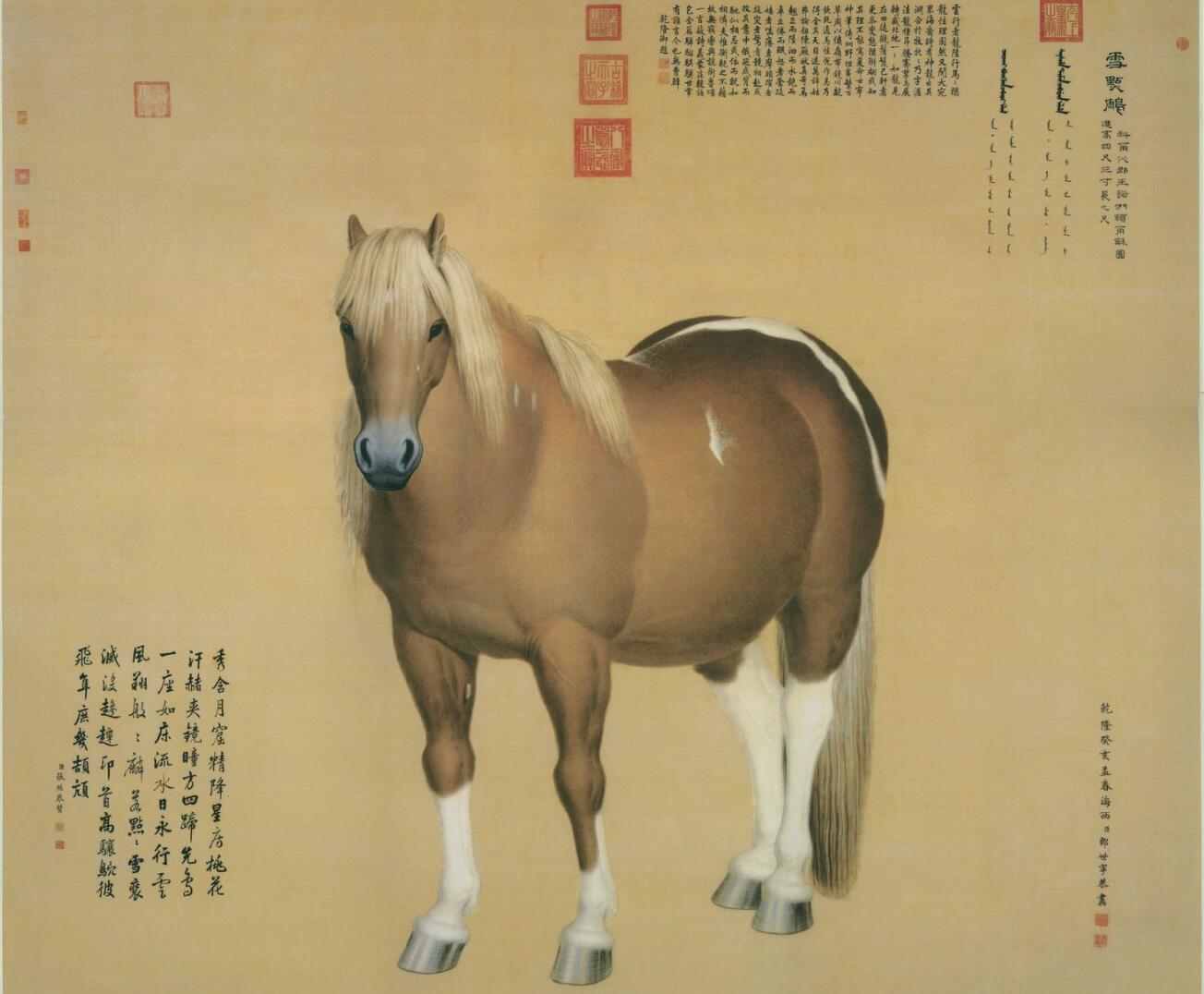 能够体现清代宫廷绘画和审美趣味的画家郎世宁,作品赏析