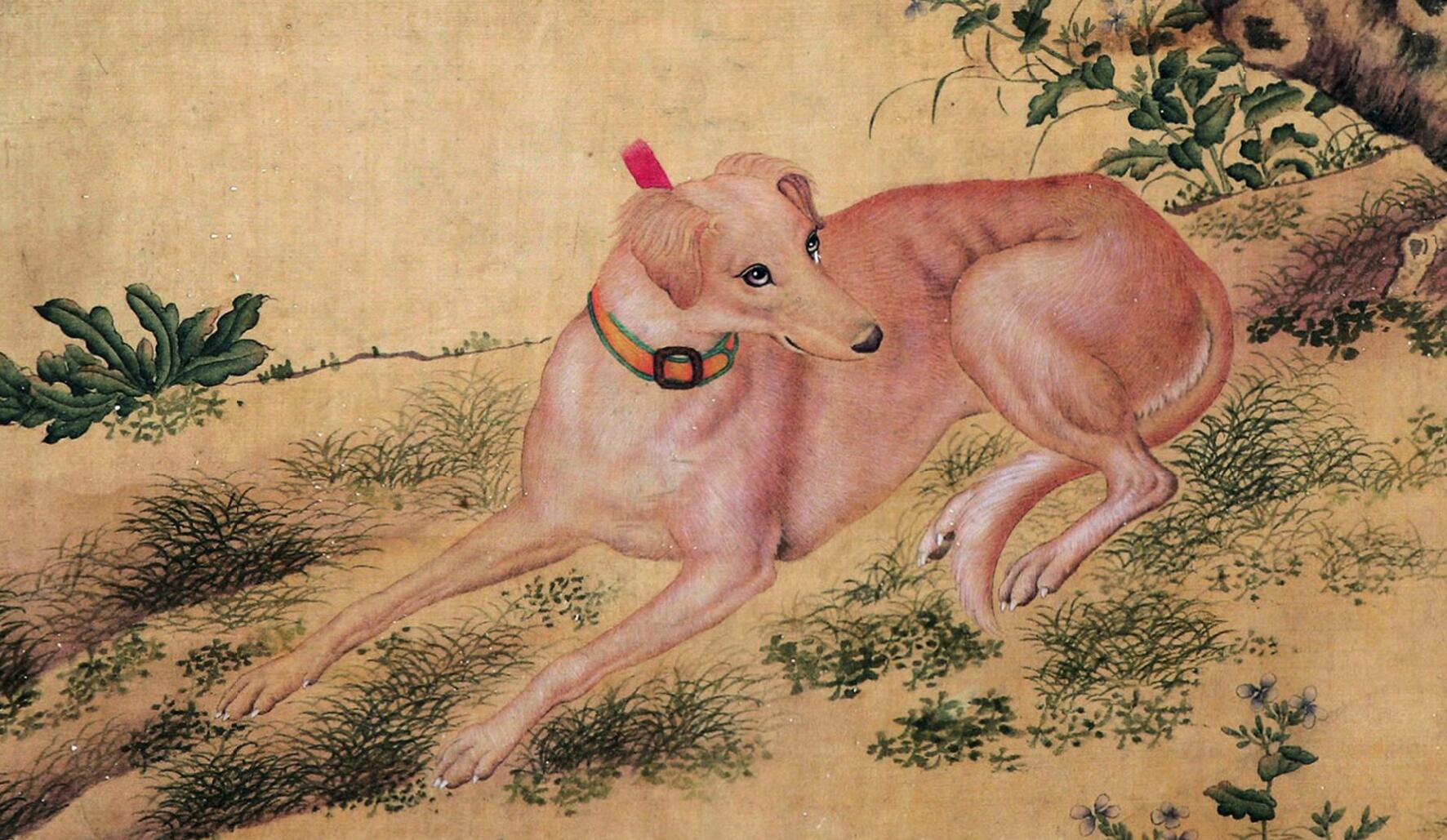 能够体现清代宫廷绘画和审美趣味的画家郎世宁,作品赏析