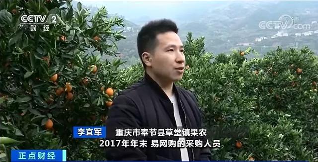「生活报」几块钱的酱油卖700元？！这个电商平台老板卷走200多亿跑路，1200万人索赔无门