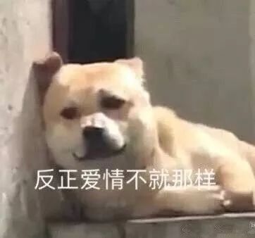 [人民日报]「提醒」居然有这么奇葩的爱情故事？