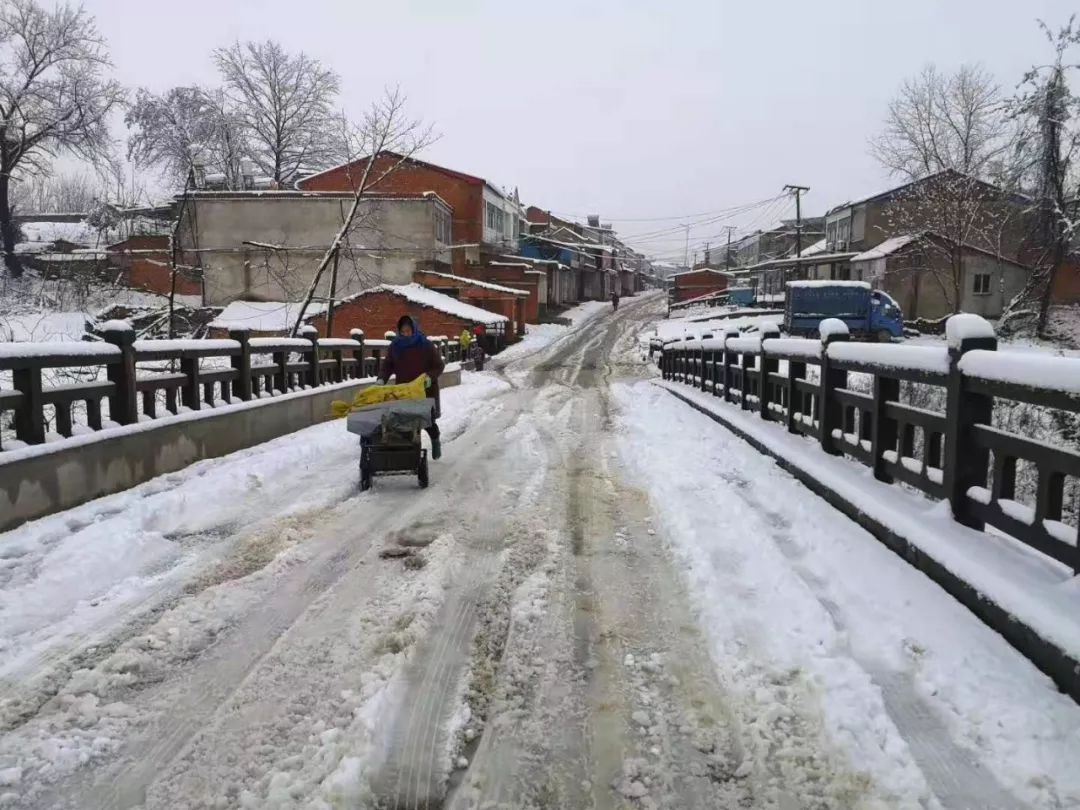 突然下雪!12位摄影师抢拍2020年安徽第一场雪,带你走进最美冬日