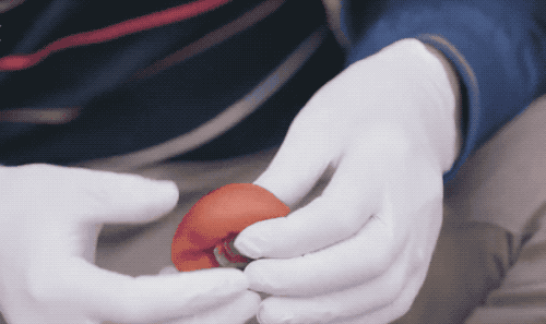 【中科院物理所】溏心、软糯、甘甜的柿饼是如何制作出来的？