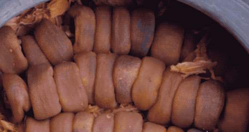 【中科院物理所】溏心、软糯、甘甜的柿饼是如何制作出来的？